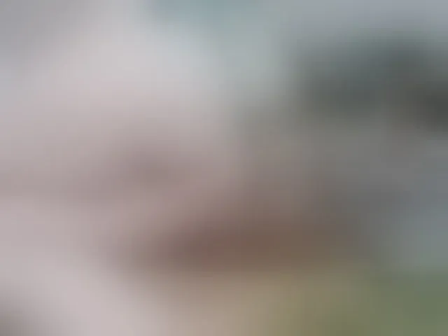 Live sex webcam photo for MILAax #292528614