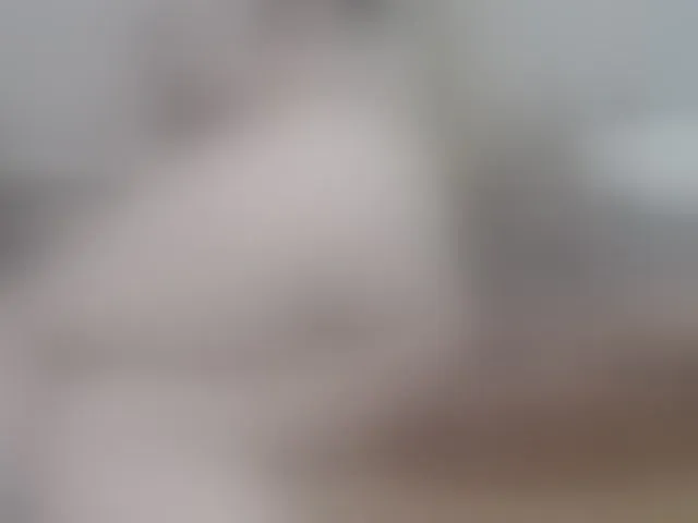 Live sex webcam photo for MILAax #292545849