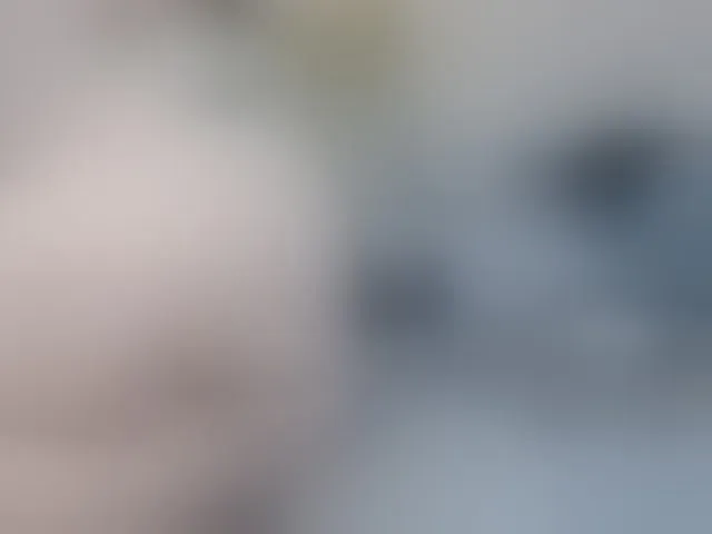 Live sex webcam photo for MILAax #292656108