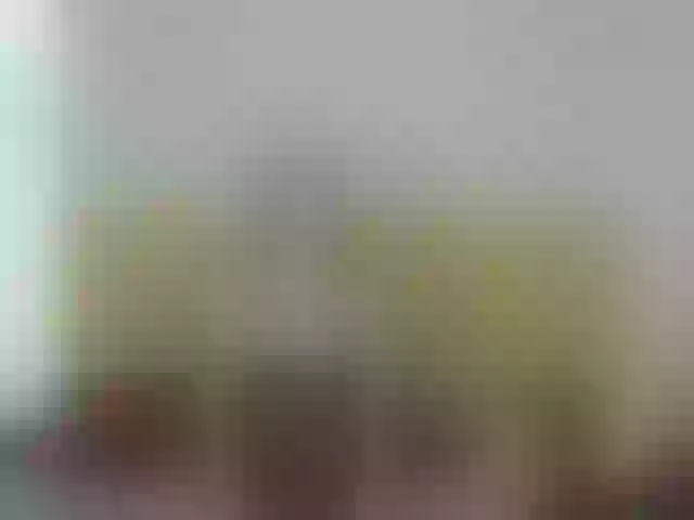 Live sex webcam photo for MONA- #272701327