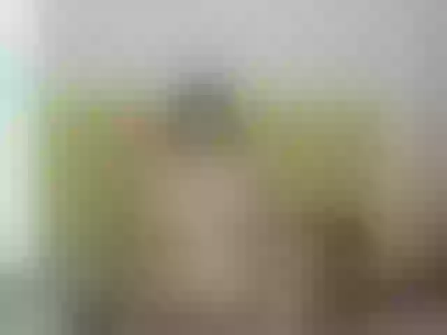 Live sex webcam photo for MONA- #272792985