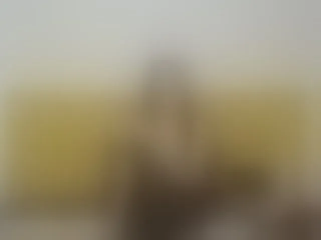 Live sex webcam photo for MONA- #272879400