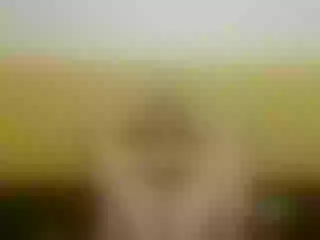 Live sex webcam photo for MONA- #272921348