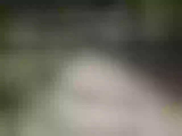 Live sex webcam photo for MS-86 #291361624