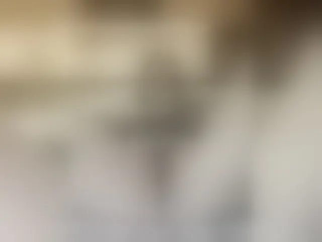 Live sex webcam photo for MS-86 #292621406
