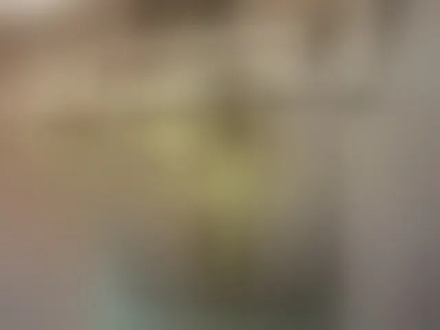 Live sex webcam photo for MS-86 #292667334