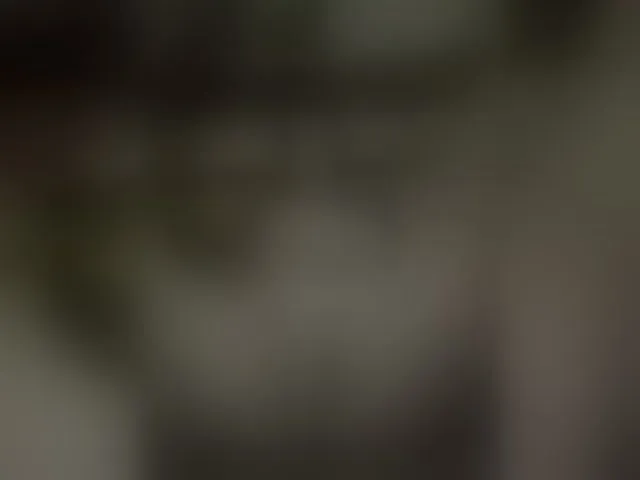 Live sex webcam photo for MS-86 #292736244