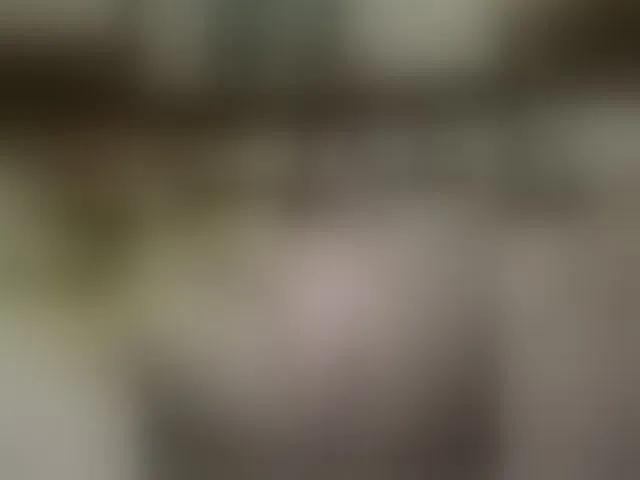 Live sex webcam photo for MS-86 #292749436