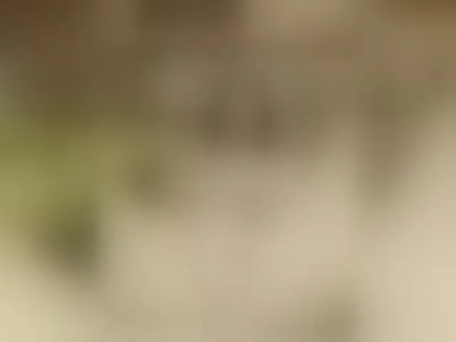 Live sex webcam photo for MS-86 #293135488