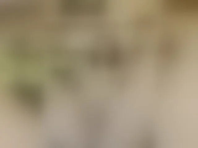 Live sex webcam photo for MS-86 #293247769