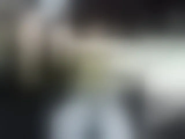 Live sex webcam photo for MS-86 #293456305