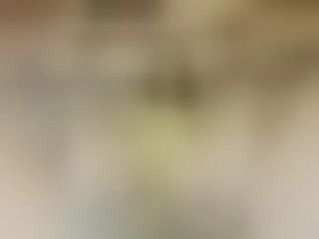 Live sex webcam photo for MS-86 #293474772