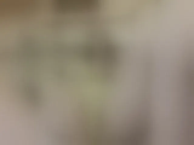 Live sex webcam photo for MS-86 #293614628