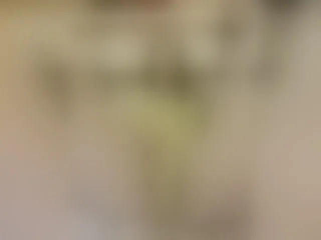 Live sex webcam photo for MS-86 #293645160