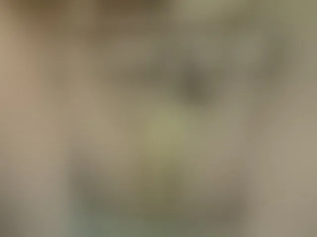 Live sex webcam photo for MS-86 #293822864