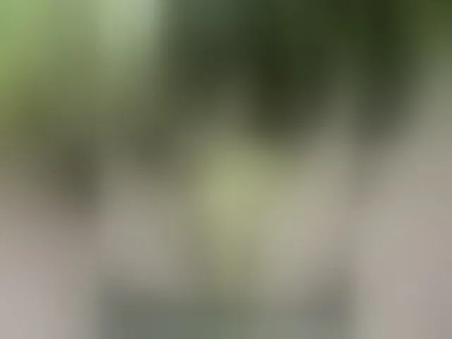 Live sex webcam photo for MS-86 #293985017
