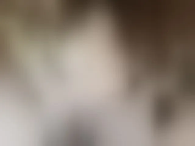 Live sex webcam photo for MS-86 #294008133