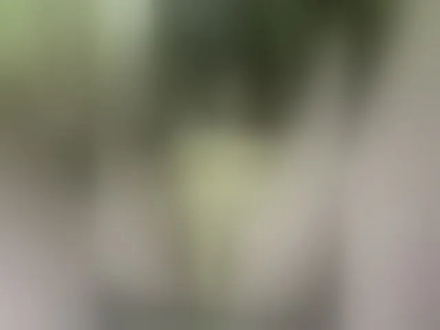 Live sex webcam photo for MS-86 #294014422