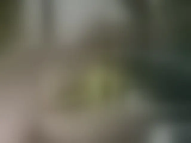 Live sex webcam photo for MS-86 #294037566
