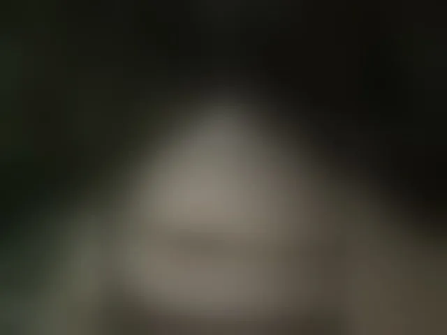 Live sex webcam photo for MS-86 #294052401