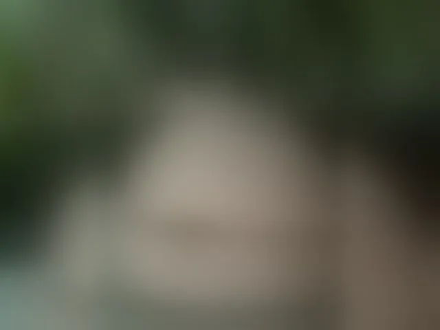 Live sex webcam photo for MS-86 #294076403