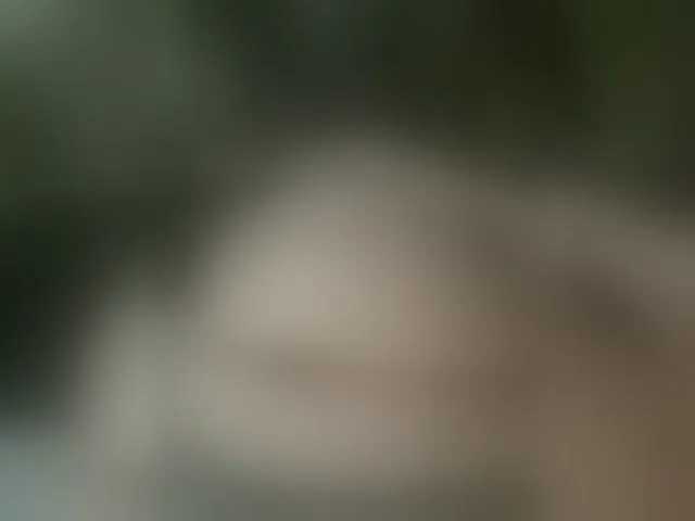Live sex webcam photo for MS-86 #294081711