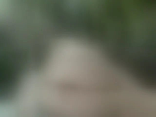 Live sex webcam photo for MS-86 #294092759