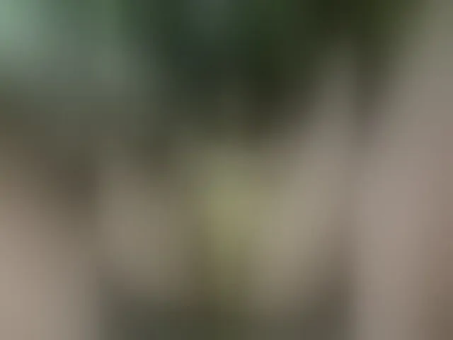 Live sex webcam photo for MS-86 #294102709