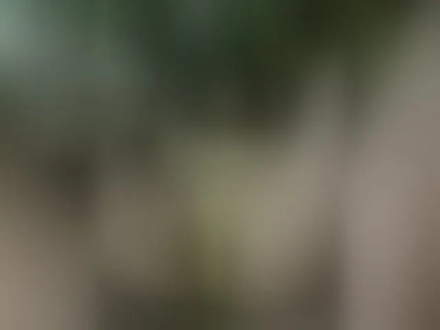 Live sex webcam photo for MS-86 #294113398