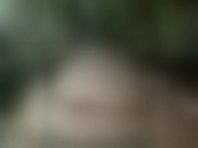 Live sex webcam photo for MS-86 #294118067