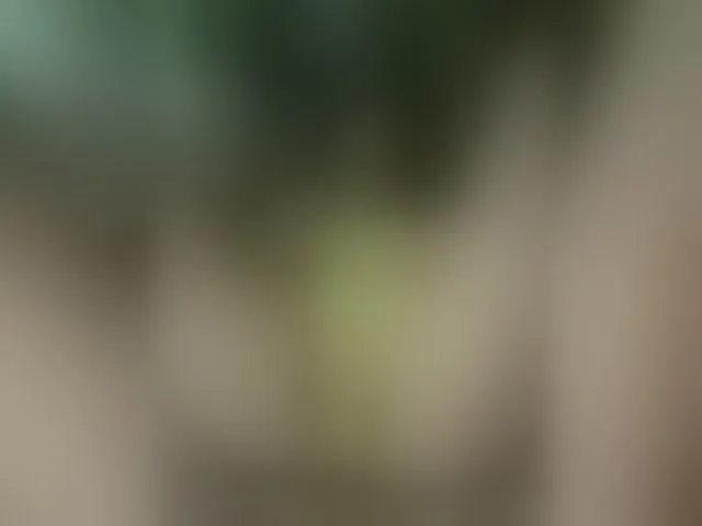 Live sex webcam photo for MS-86 #294137960