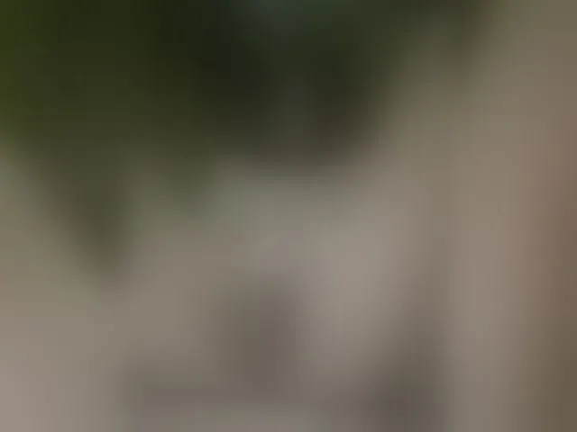 Live sex webcam photo for MS-86 #294143547