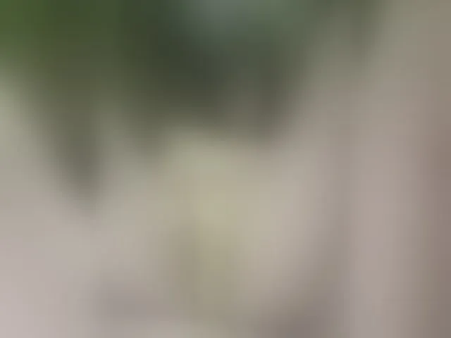 Live sex webcam photo for MS-86 #294148841