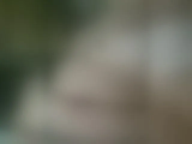 Live sex webcam photo for MS-86