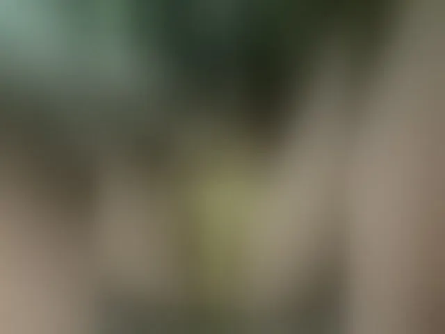 Live sex webcam photo for MS-86 #294158256