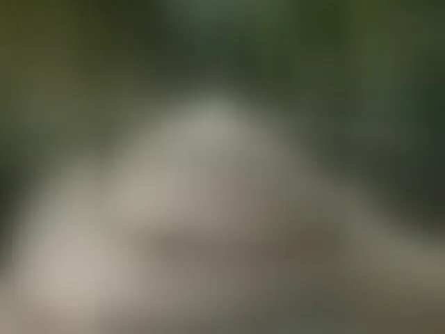 Live sex webcam photo for MS-86 #294163324