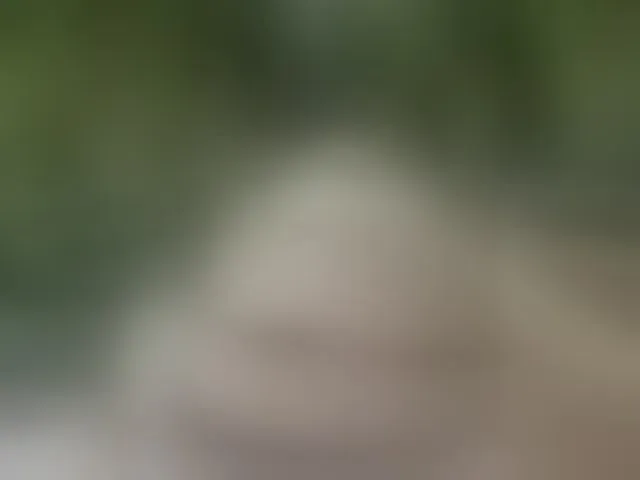 Live sex webcam photo for MS-86