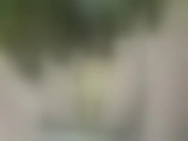 Live sex webcam photo for MS-86 #294173455