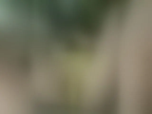 Live sex webcam photo for MS-86 #294183914