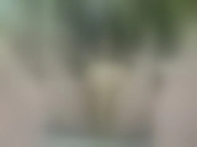 Live sex webcam photo for MS-86 #294208791