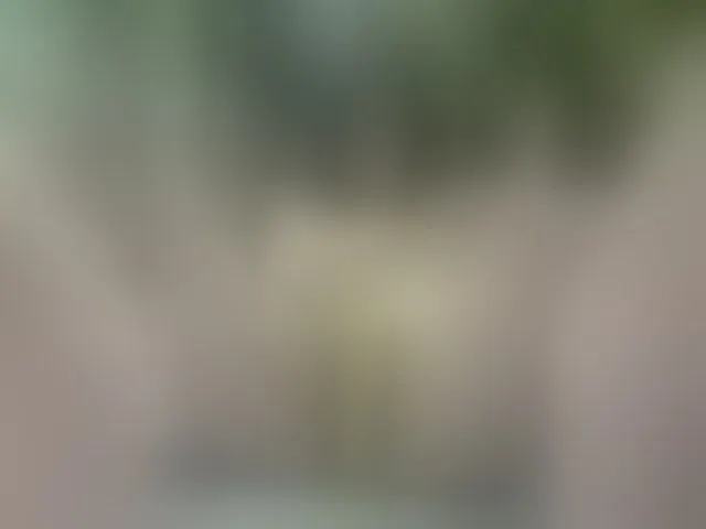 Live sex webcam photo for MS-86 #294228824