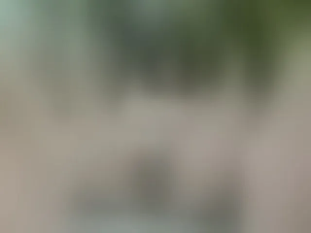 Live sex webcam photo for MS-86 #294234149