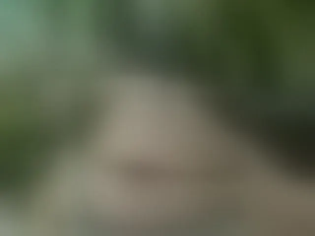 Live sex webcam photo for MS-86 #294239240