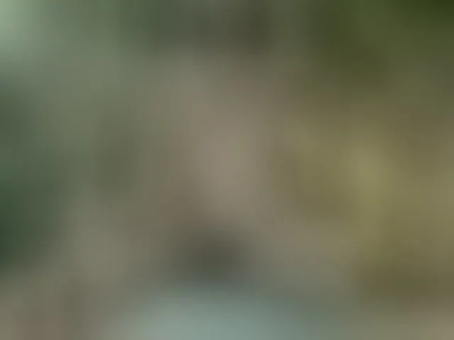 Live sex webcam photo for MS-86 #294255347