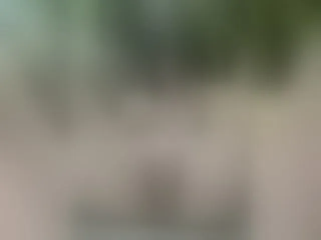 Live sex webcam photo for MS-86 #294259925