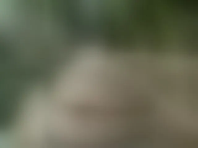 Live sex webcam photo for MS-86 #294264406