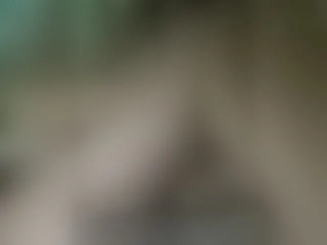 Live sex webcam photo for MS-86 #294280209