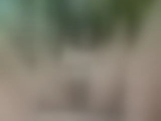 Live sex webcam photo for MS-86 #294285737