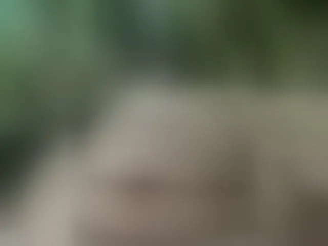Live sex webcam photo for MS-86 #294291119