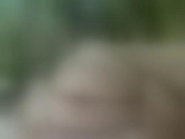 Live sex webcam photo for MS-86 #294295737
